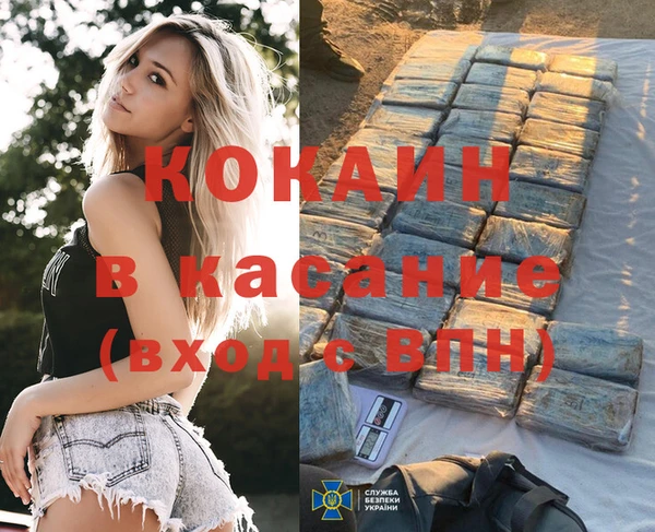 прущие грибы Пересвет