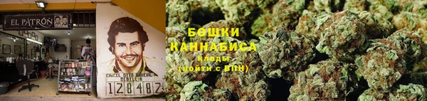 тгк Переславль-Залесский